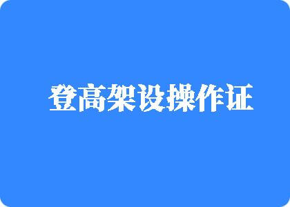 日韩美女被操网站登高架设操作证