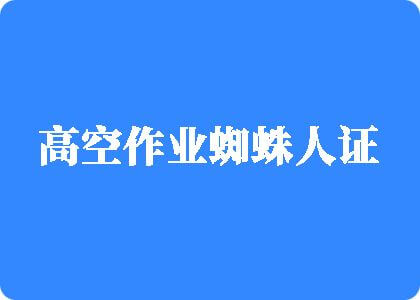 淫穴在线视频高空作业蜘蛛人证